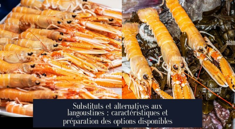Substituts et alternatives aux langoustines : caractéristiques et préparation des options disponibles