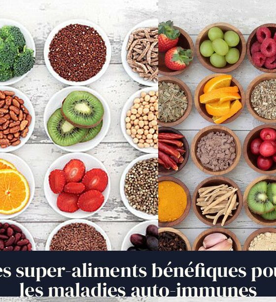 Les super-aliments bénéfiques pour les maladies auto-immunes