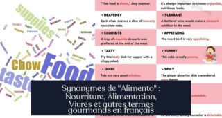 Synonymes de "Alimento" : Nourriture, Alimentation, Vivres et autres termes gourmands en français
