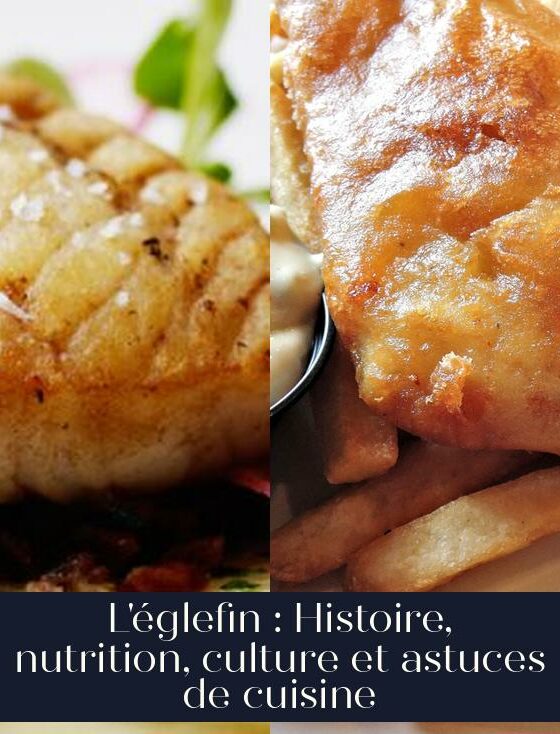 L'églefin : Histoire, nutrition, culture et astuces de cuisine