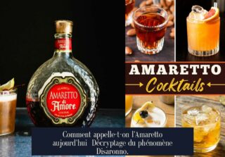 Comment appelle-t-on l'Amaretto aujourd'hui Décryptage du phénomène Disaronno.