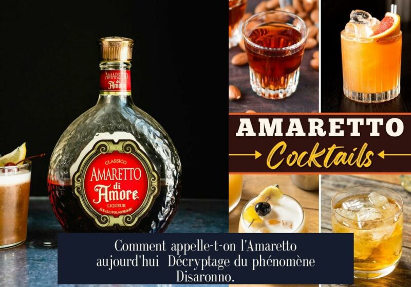 Comment appelle-t-on l'Amaretto aujourd'hui Décryptage du phénomène Disaronno.