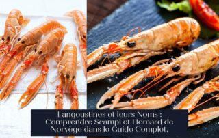 Langoustines et leurs Noms : Comprendre Scampi et Homard de Norvège dans le Guide Complet.