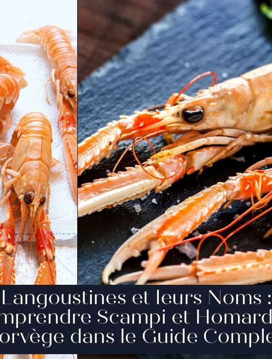Langoustines et leurs Noms : Comprendre Scampi et Homard de Norvège dans le Guide Complet.