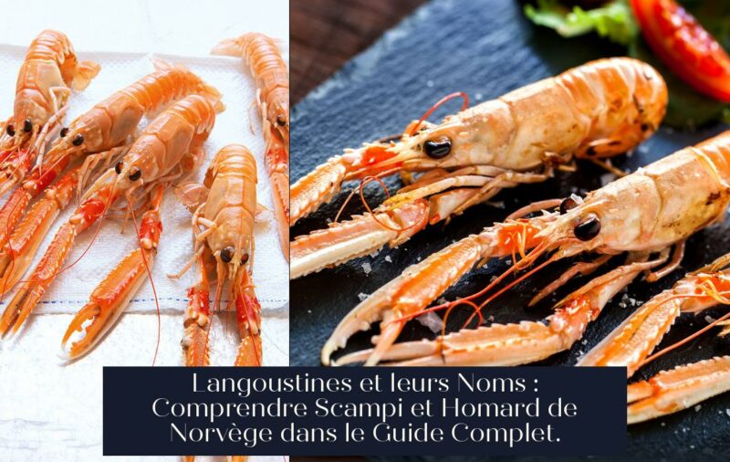 Langoustines et leurs Noms : Comprendre Scampi et Homard de Norvège dans le Guide Complet.