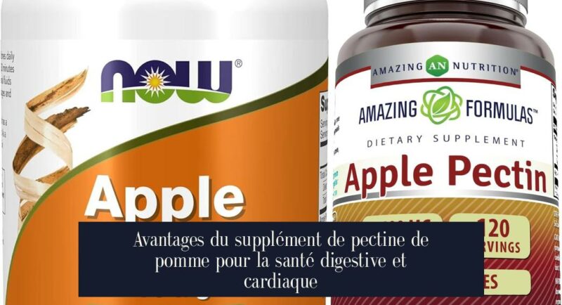 Avantages du supplément de pectine de pomme pour la santé digestive et cardiaque