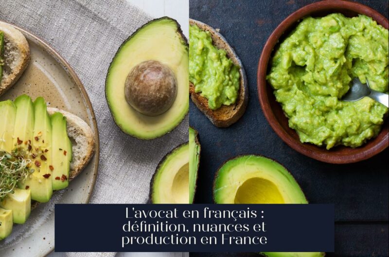 L'avocat en français : définition, nuances et production en France