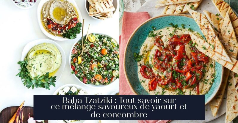 Baba Tzatziki : Tout savoir sur ce mélange savoureux de yaourt et de concombre