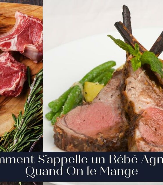 Comment S'appelle un Bébé Agneau Quand On le Mange