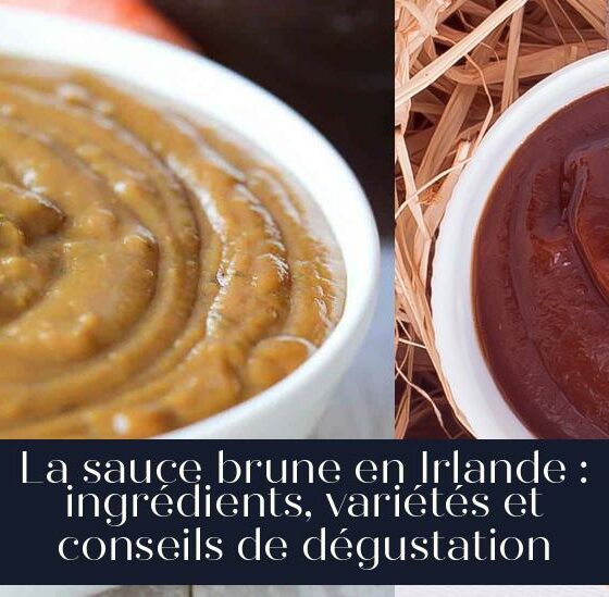La sauce brune en Irlande : ingrédients, variétés et conseils de dégustation