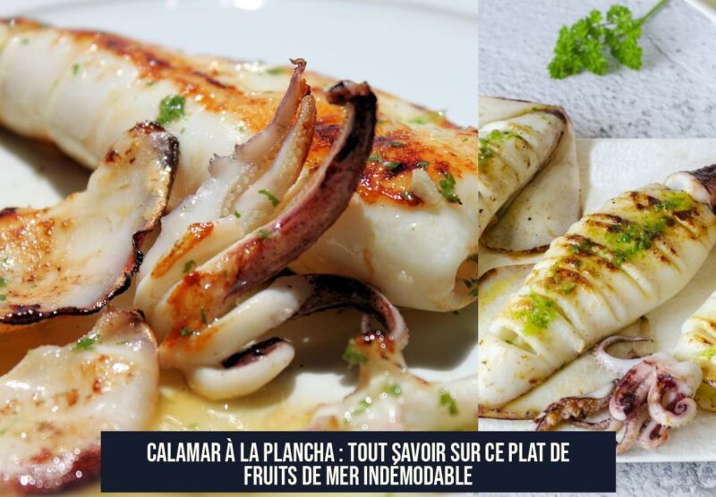 Calamar à la Plancha : Tout Savoir sur ce Plat de Fruits de Mer Indémodable