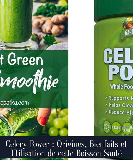 Celery Power : Origines, Bienfaits et Utilisation de cette Boisson Santé