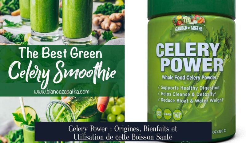 Celery Power : Origines, Bienfaits et Utilisation de cette Boisson Santé