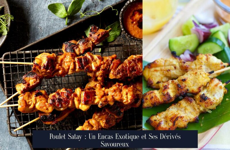 Poulet Satay : Un Encas Exotique et Ses Dérivés Savoureux