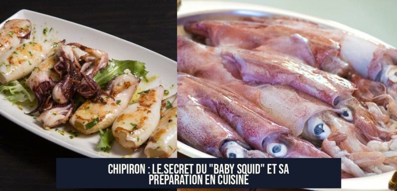 Chipiron : Le Secret du "Baby Squid" et Sa Préparation en Cuisine