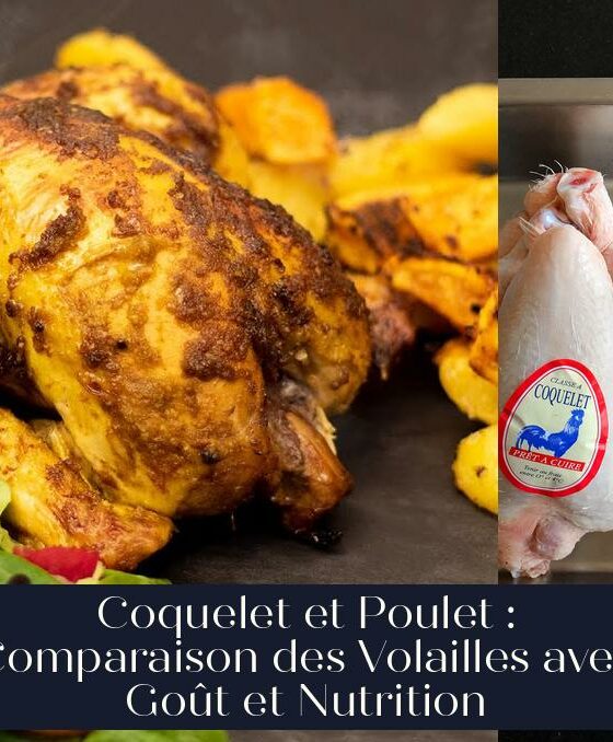 Coquelet et Poulet : Comparaison des Volailles avec Goût et Nutrition