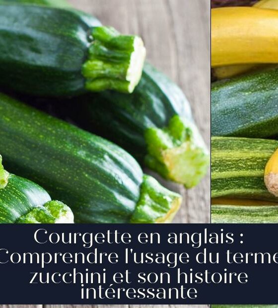 Courgette en anglais : Comprendre l'usage du terme zucchini et son histoire intéressante