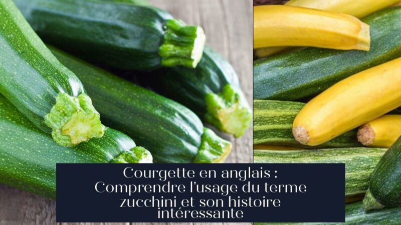 Courgette en anglais : Comprendre l'usage du terme zucchini et son histoire intéressante