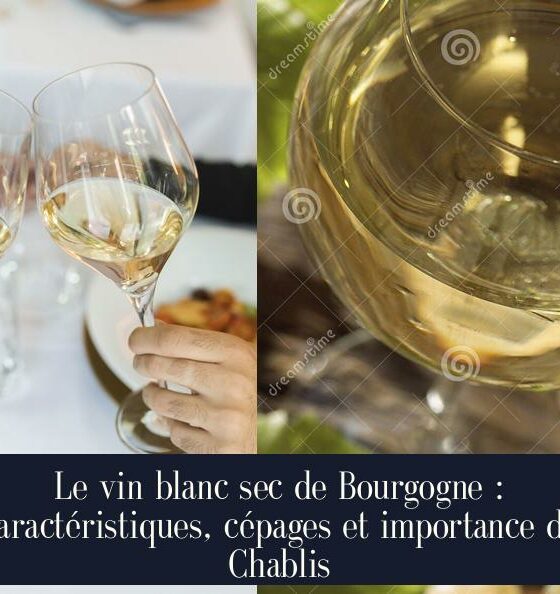 Le vin blanc sec de Bourgogne : caractéristiques, cépages et importance de Chablis