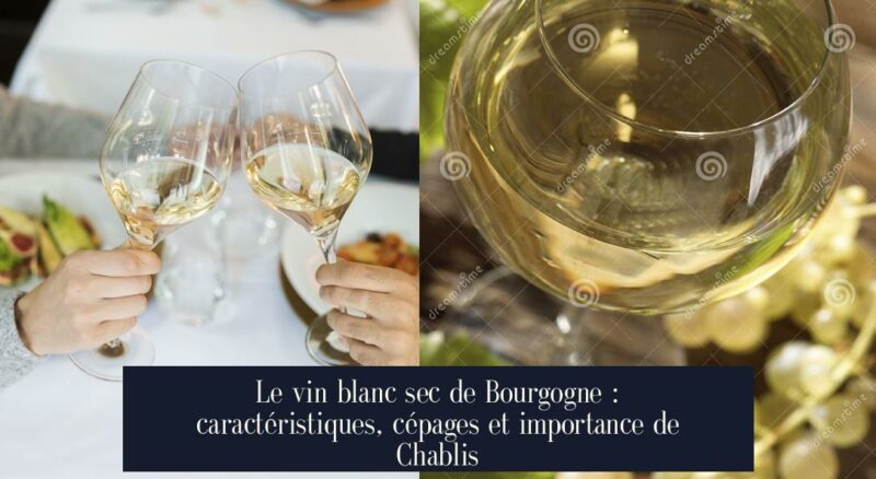 Le vin blanc sec de Bourgogne : caractéristiques, cépages et importance de Chablis