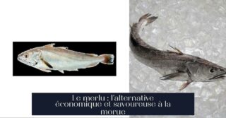 Le merlu : l'alternative économique et savoureuse à la morue