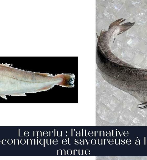 Le merlu : l'alternative économique et savoureuse à la morue