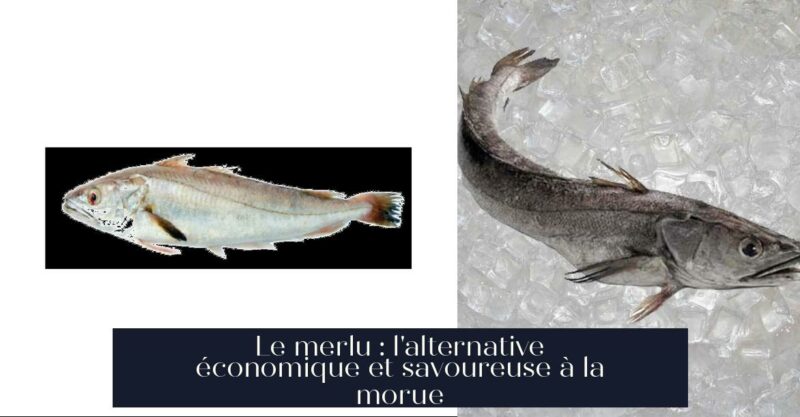 Le merlu : l'alternative économique et savoureuse à la morue