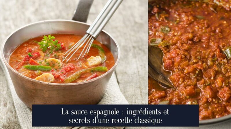 La sauce espagnole : ingrédients et secrets d'une recette classique