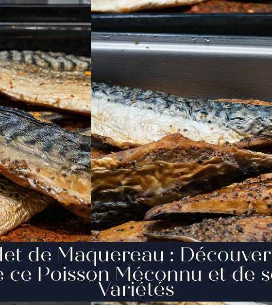 Filet de Maquereau : Découverte de ce Poisson Méconnu et de ses Variétés