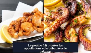 Le poulpe frit : toutes les appellations et le débat avec le calamar