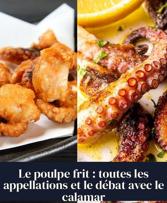 Le poulpe frit : toutes les appellations et le débat avec le calamar
