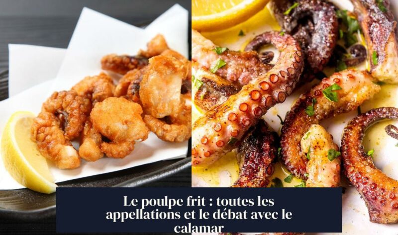 Le poulpe frit : toutes les appellations et le débat avec le calamar