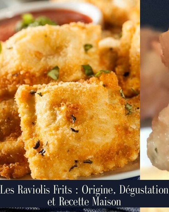 Les Raviolis Frits : Origine, Dégustation et Recette Maison