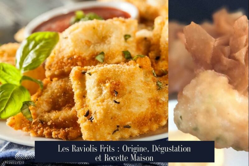 Les Raviolis Frits : Origine, Dégustation et Recette Maison
