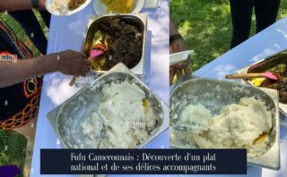 Fufu Camerounais : Découverte d'un plat national et de ses délices accompagnants