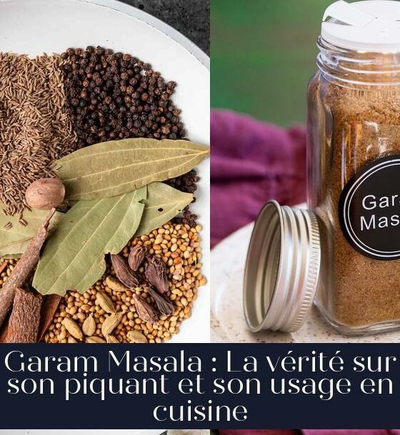 Garam Masala : La vérité sur son piquant et son usage en cuisine