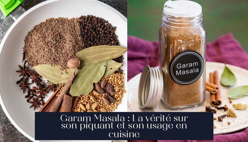 Garam Masala : La vérité sur son piquant et son usage en cuisine