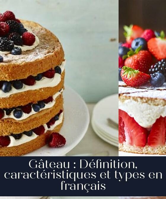 Gâteau : Définition, caractéristiques et types en français