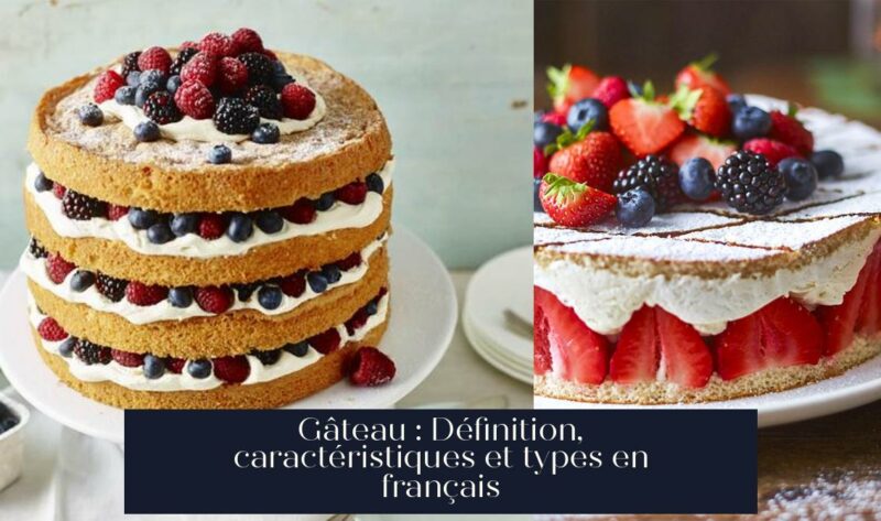 Gâteau : Définition, caractéristiques et types en français