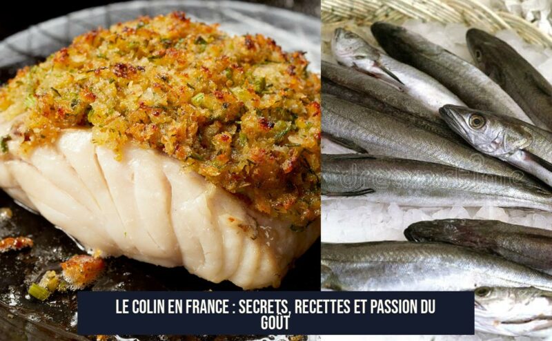 Le Colin en France : secrets, recettes et passion du goût