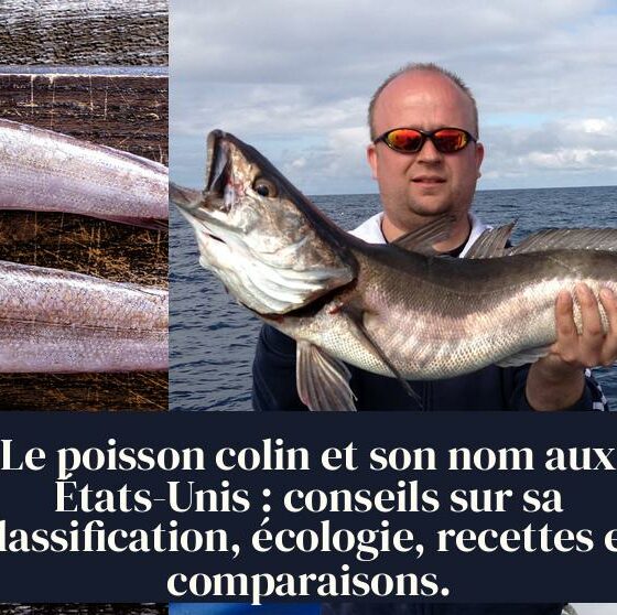 Le poisson colin et son nom aux États-Unis : conseils sur sa classification, écologie, recettes et comparaisons.