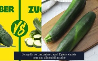 Courgette ou concombre : quel légume choisir pour une alimentation saine