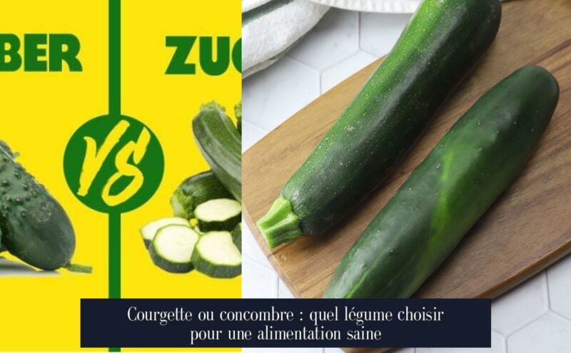Courgette ou concombre : quel légume choisir pour une alimentation saine