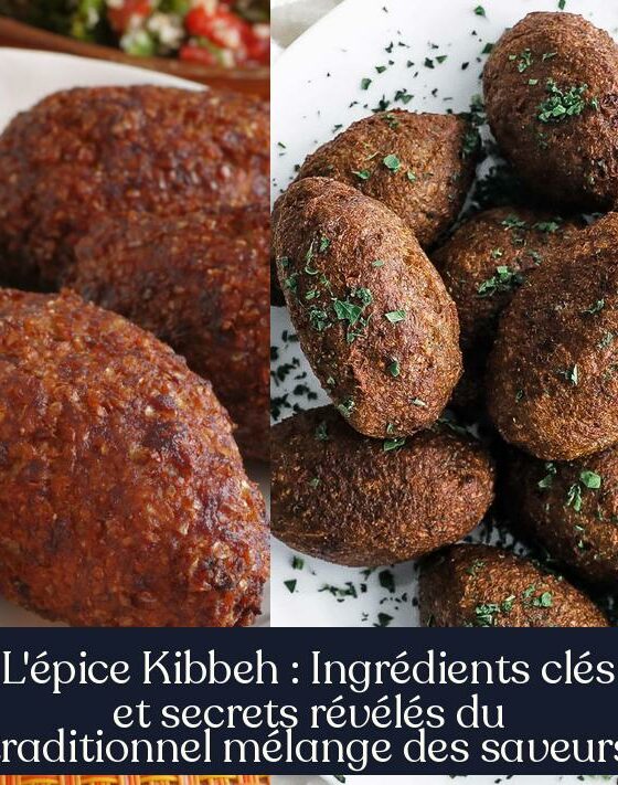 L'épice Kibbeh : Ingrédients clés et secrets révélés du traditionnel mélange des saveurs