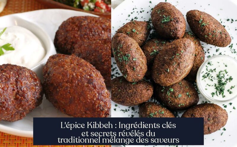 L'épice Kibbeh : Ingrédients clés et secrets révélés du traditionnel mélange des saveurs