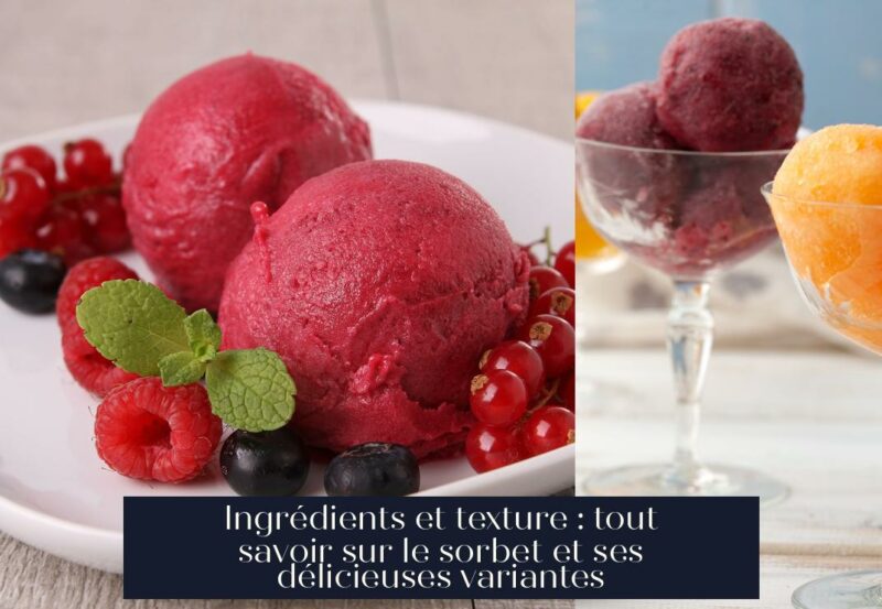 Ingrédients et texture : tout savoir sur le sorbet et ses délicieuses variantes
