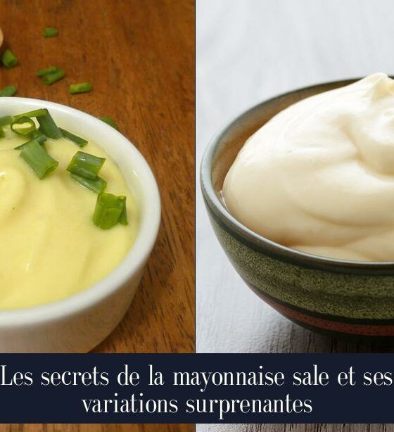 Les secrets de la mayonnaise sale et ses variations surprenantes