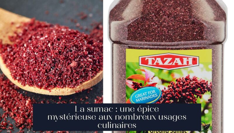 La sumac : une épice mystérieuse aux nombreux usages culinaires