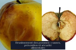 Brunissement des pommes : causes, prévention et sécurité alimentaire