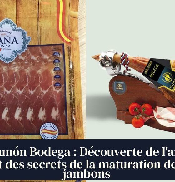 Jamón Bodega : Découverte de l'art et des secrets de la maturation des jambons